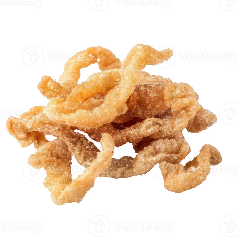 fried chicken isolate on transparency background png
