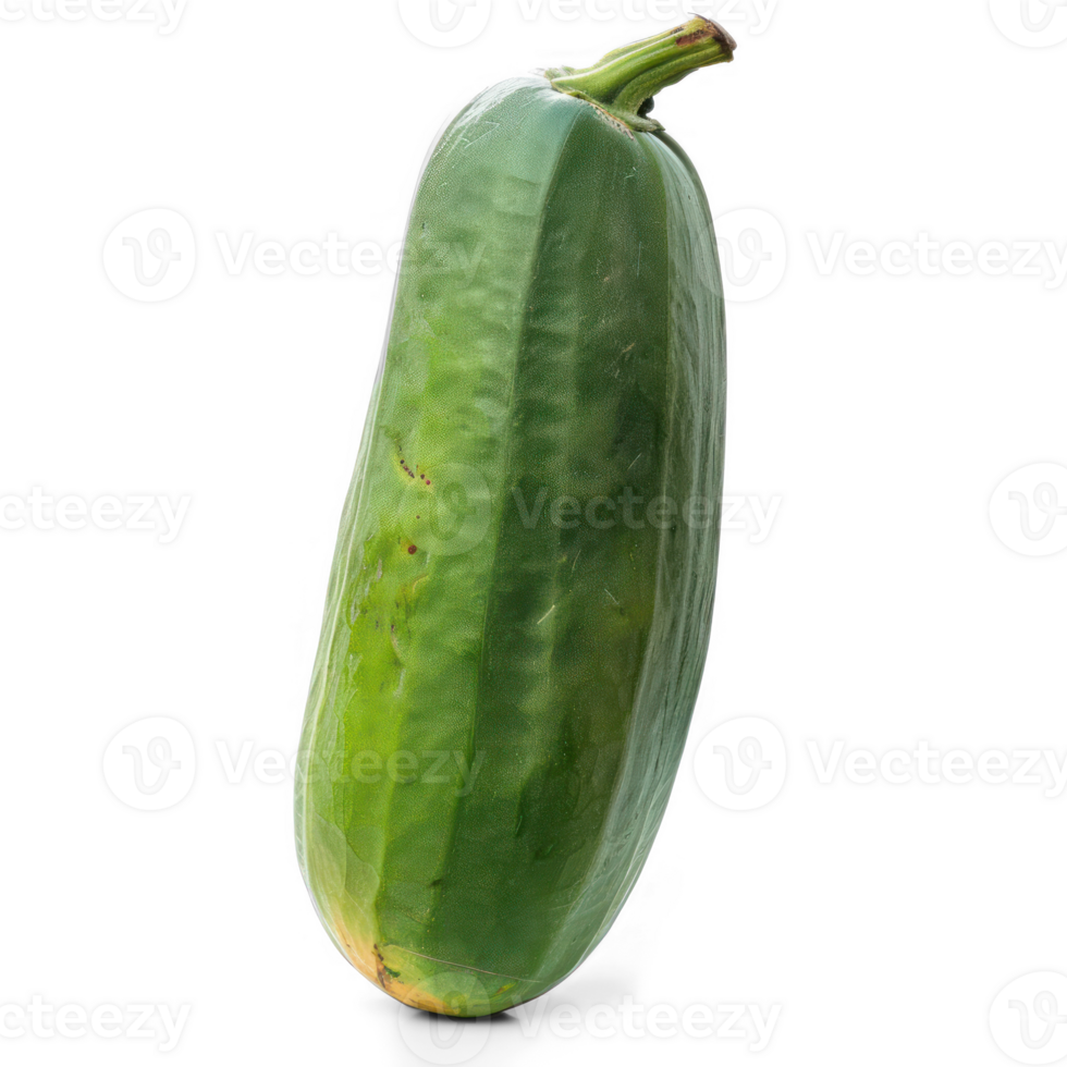 a cucumber is shown on a transparent background png