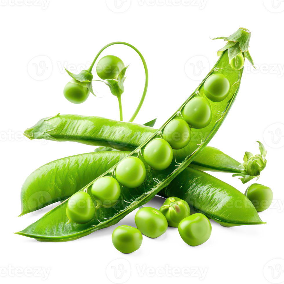 peas on a transparent background png