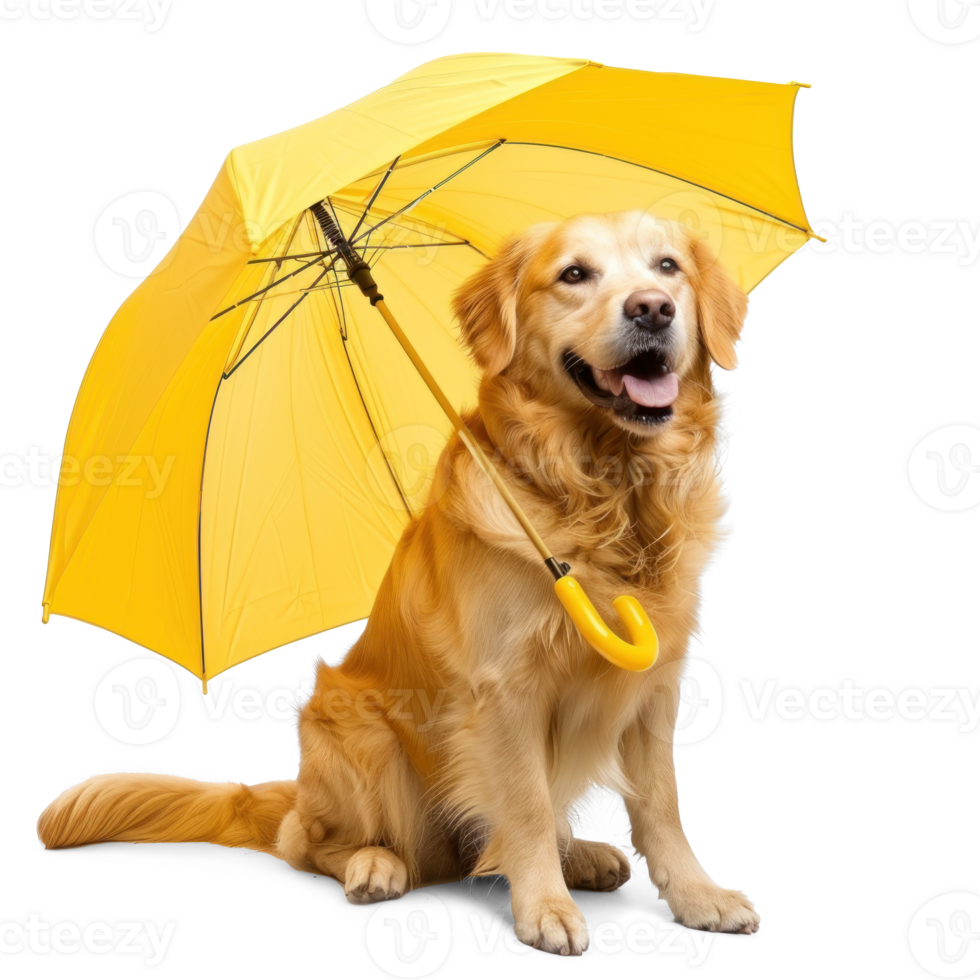 Smiling dog sitting while holding umbrella, full body isolate on white background png