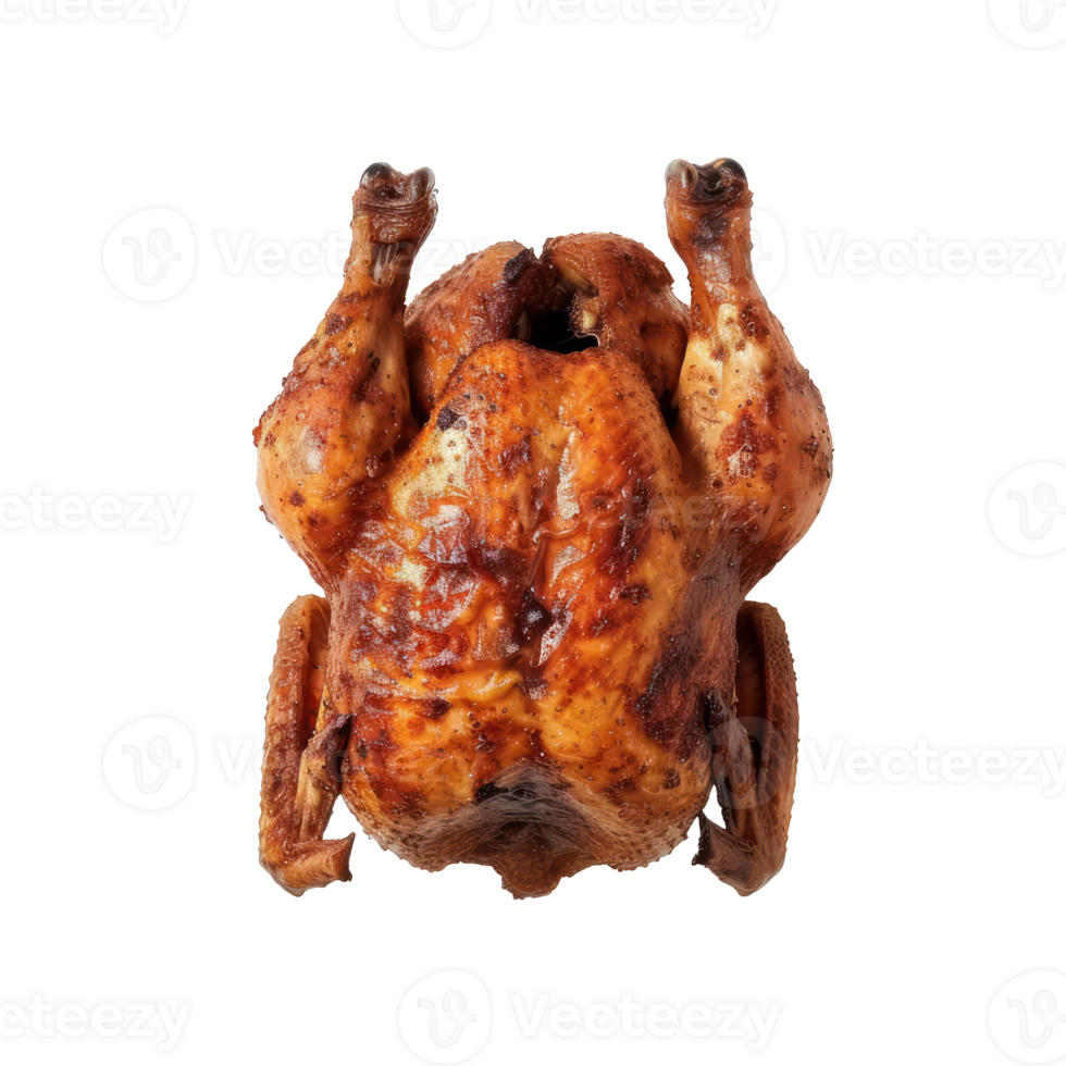 a chicken on a transparent background png