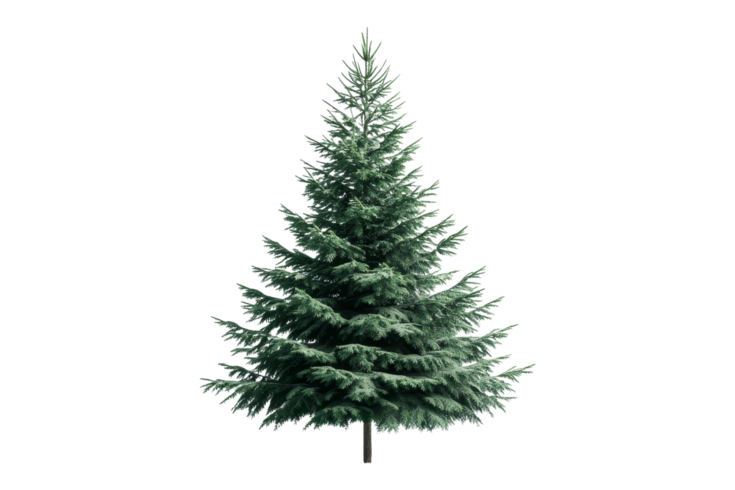 Christmas tree display isolated on white background holiday decor indoor environment front view png