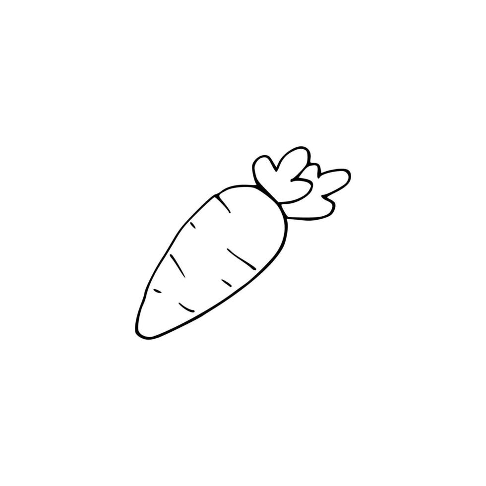 A carrot is drawn in a line on a white background vector