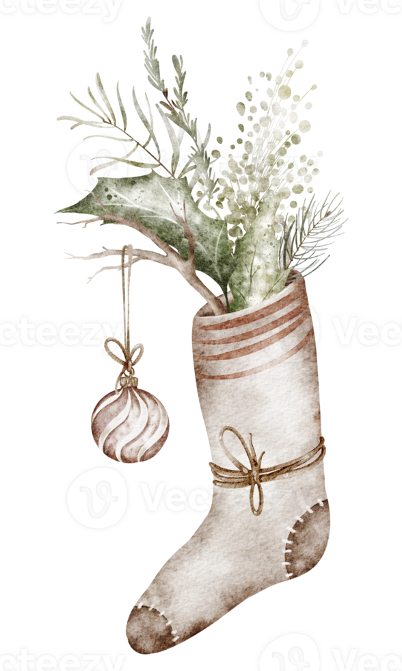 Christmas festive watercolor illustration. Hand-drawn sock with holly sprigs with evergreen leaves perfect for holiday cards or winter invitations. Traditional botanical art on an isolated background. png