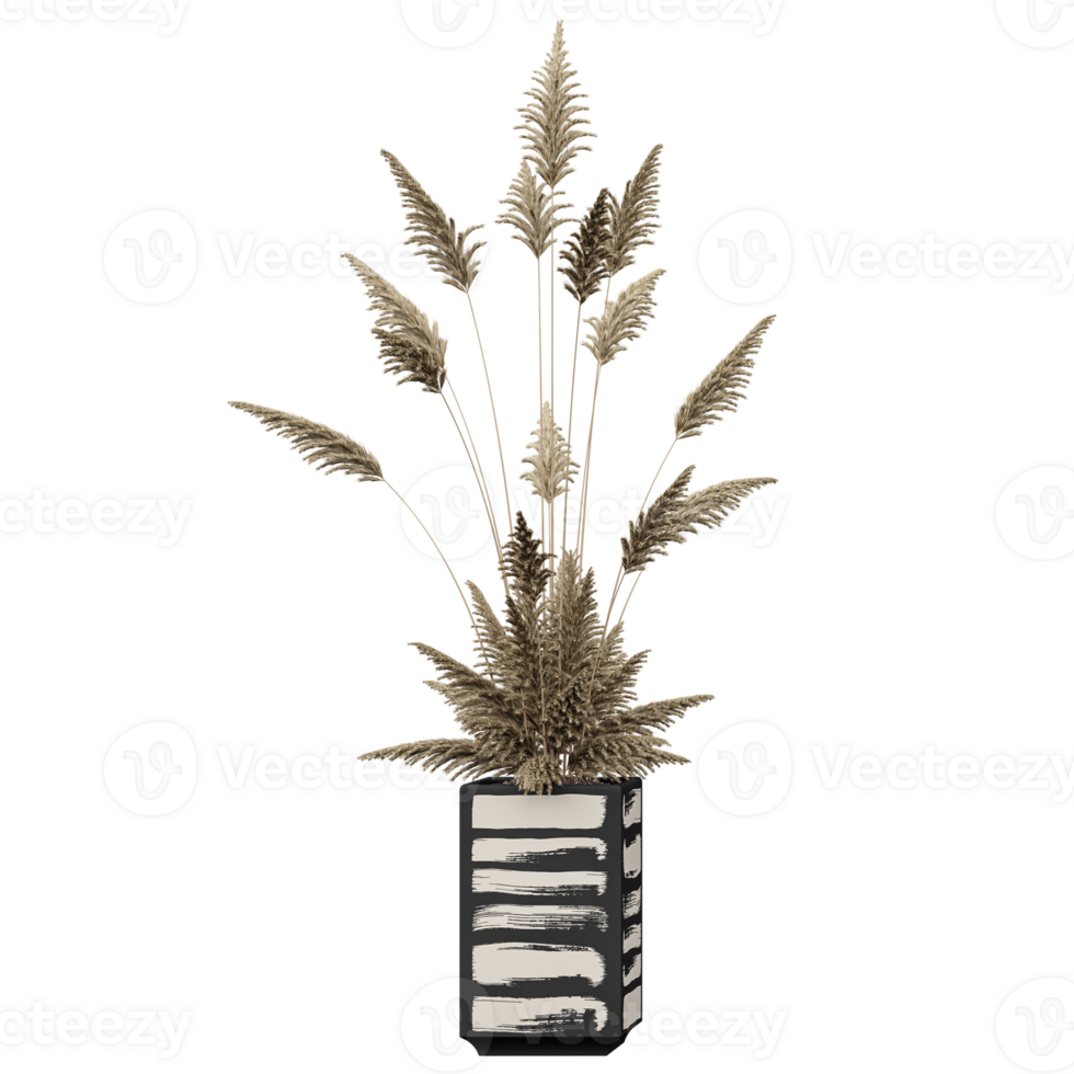 3d rendering of Phragmites australis tree isolated on transparent Canvas png