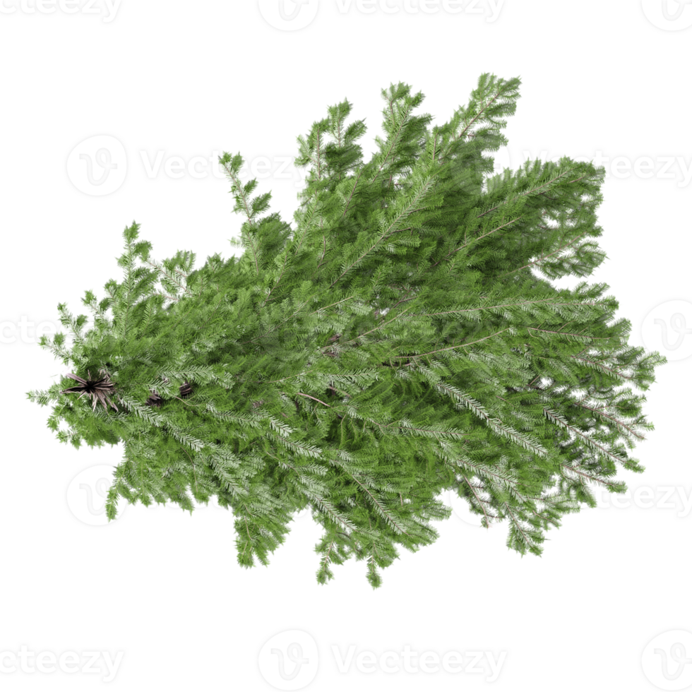 a green tree on a transparent background png