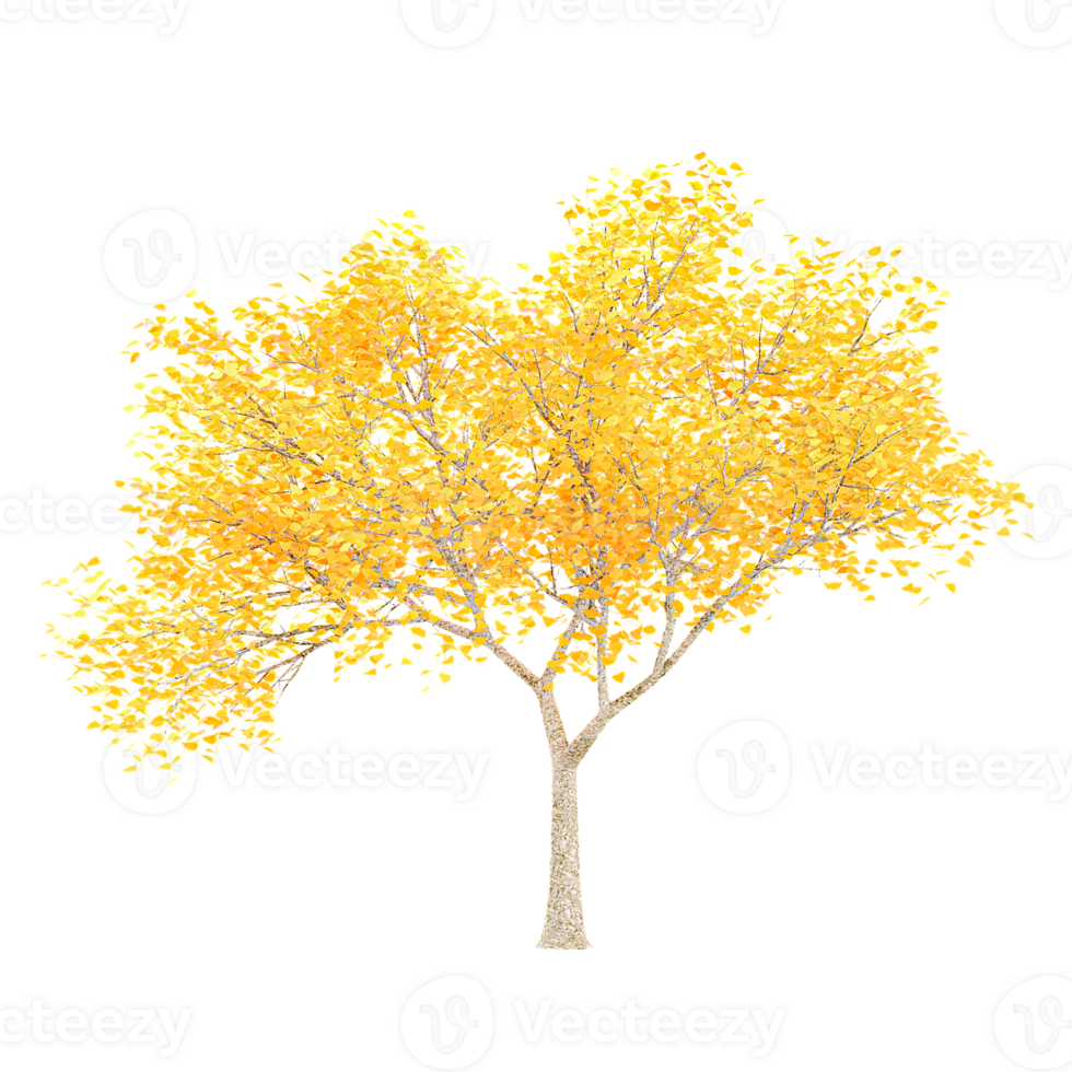 3d illustration of autumn tree isolated on transparent Canvas png