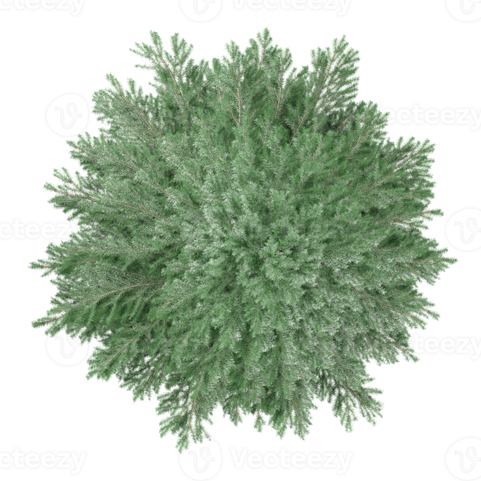 a green tree on a transparent background png