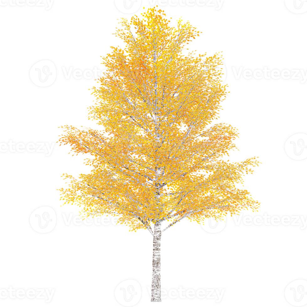 3d rendering of autumn tree isolated on transparent Canvas png