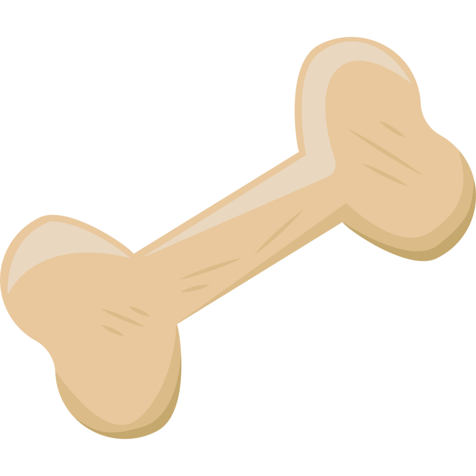 bone for dogs icon png
