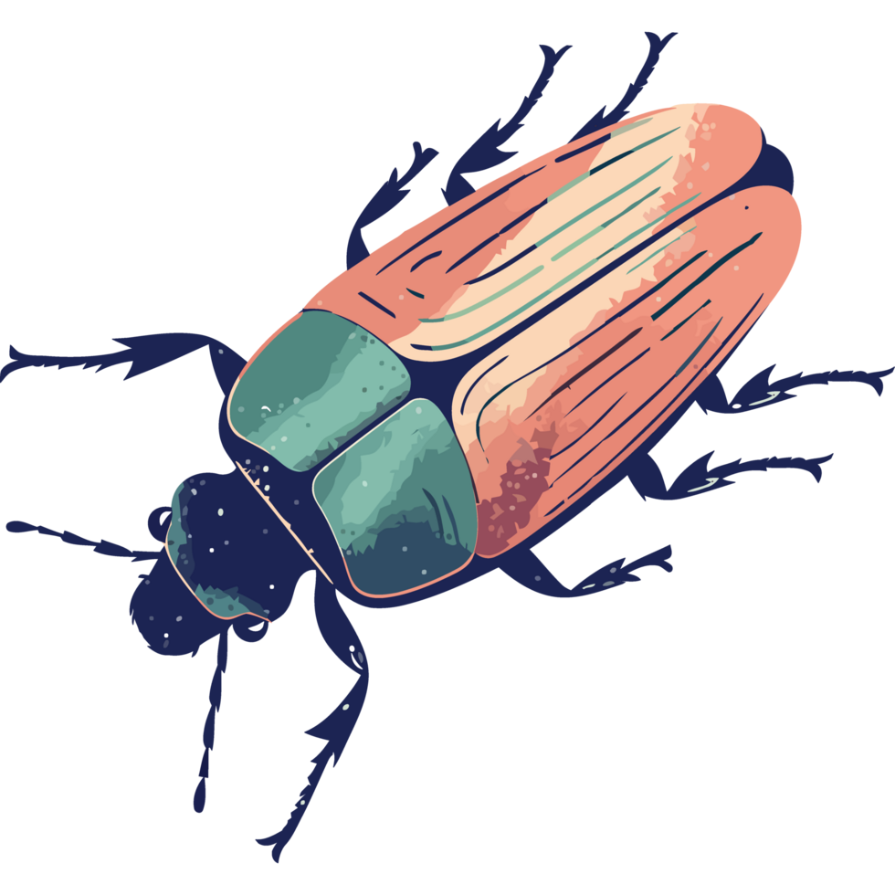 Small insect nature arthropod design icon isolated png