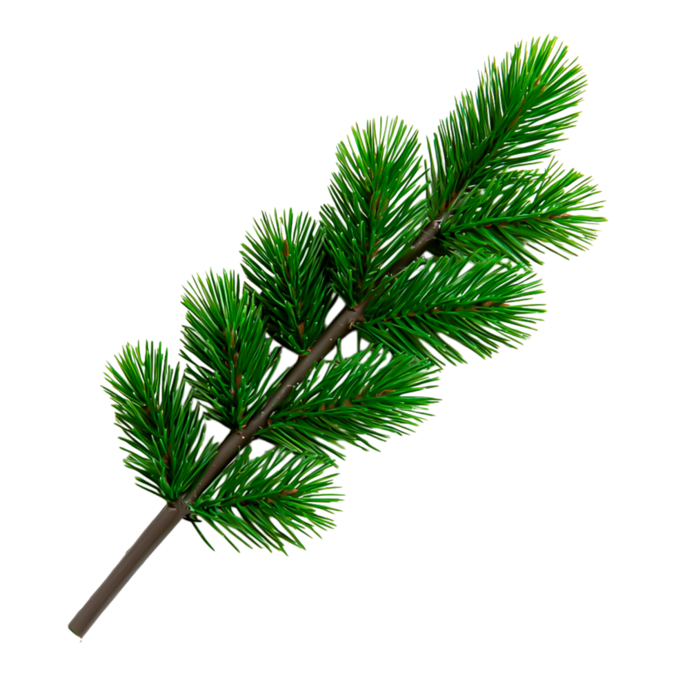 Lush Green Pine Branch with Realistic Needle-Like Leaves png