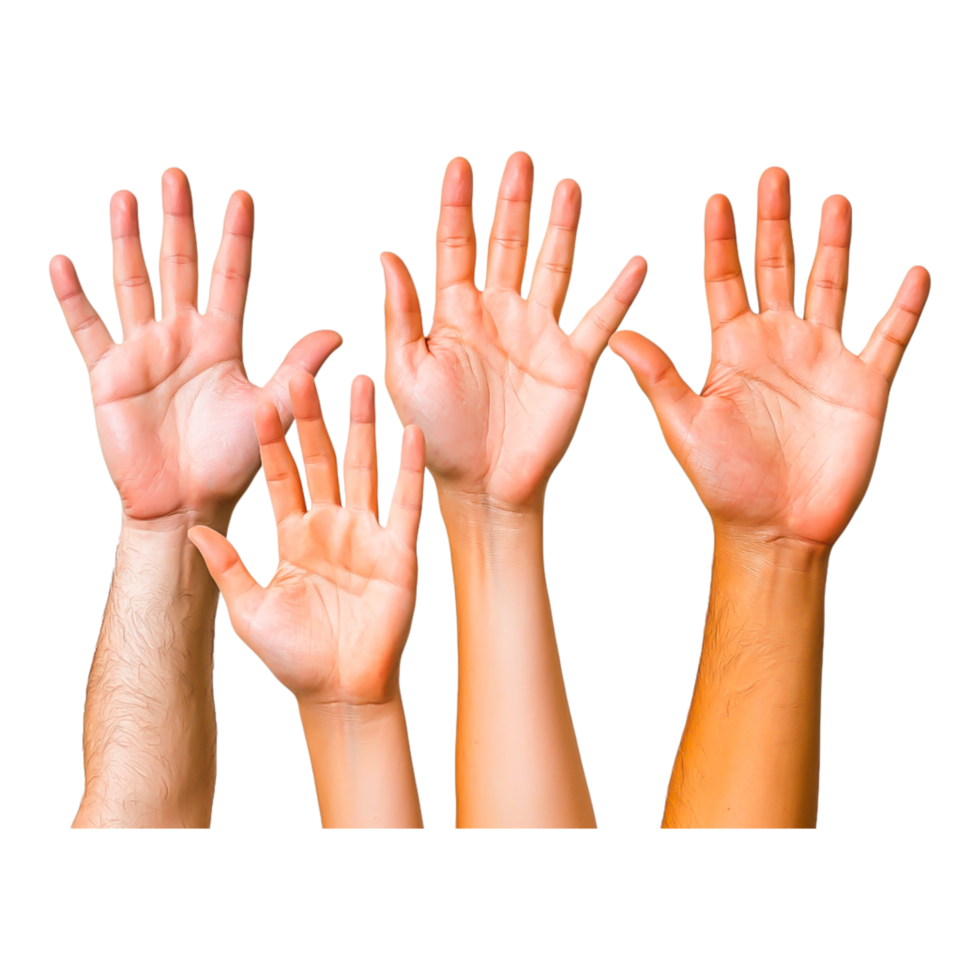 Diverse Hands Raised Showing Various Skin Tones and Gestures png