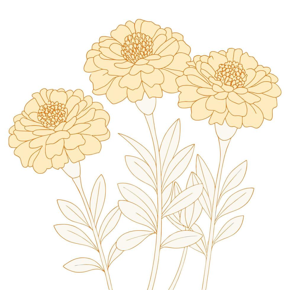 Hand drawn marigold flower coloring book page line art drawing for children and adults vector