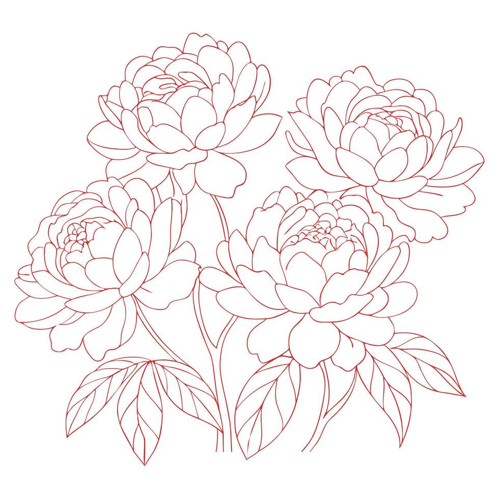 Hand drawn peony flower coloring book page for children and adults vector