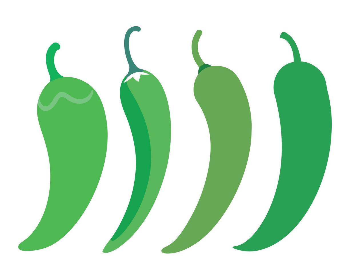 Fresh green hot chili pepper collection vector
