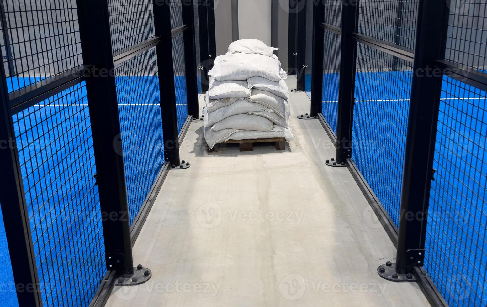 Padel court with lines and net indoor photo