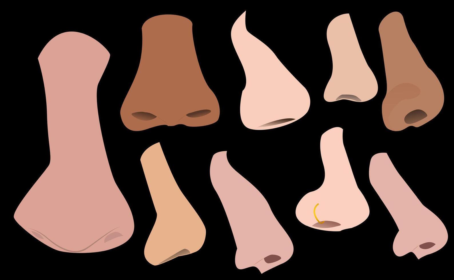 Illustration of types and shapes of human noses, suitable for your creative designs vector