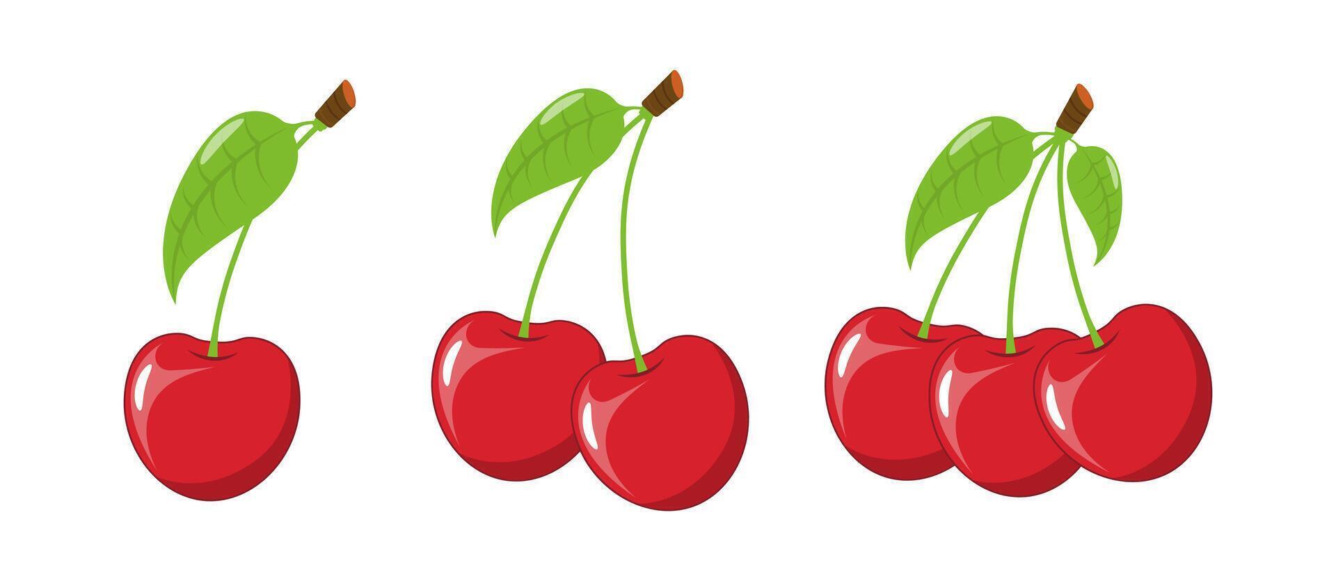 Set Cherry in cartoon style on a white background vector
