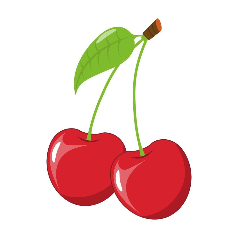 Cherry in cartoon style on a white background vector