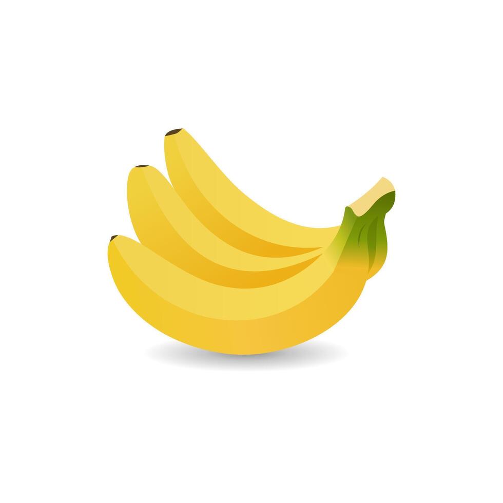 Background with bananas. Illustration of 3 bananas vector