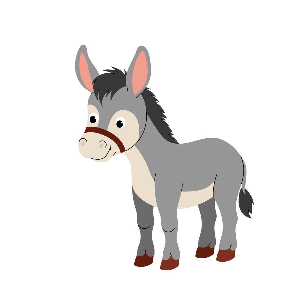 Donkey. Farm animal. Flat illustration of cartoon grey cute donkey isolated on white background. vector