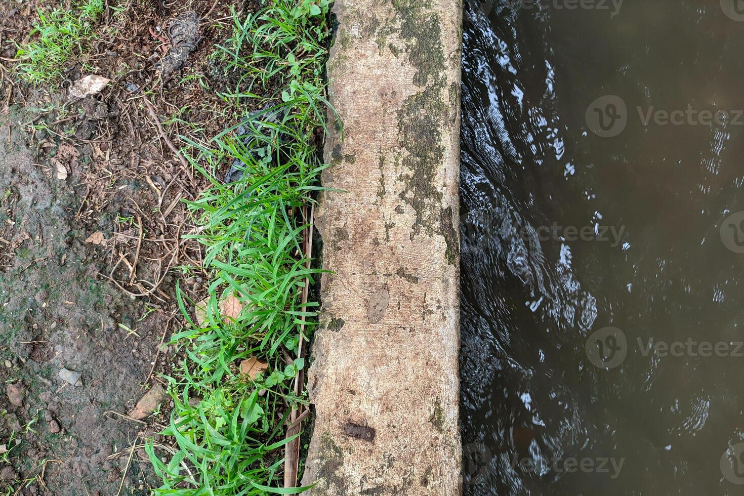 Gently Flowing Water Beside A Weathered Concrete Channel With Greenery photo