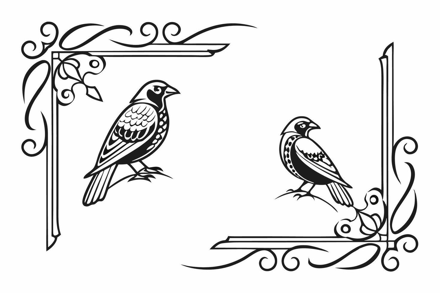 two birds in a frame with ornate design vector