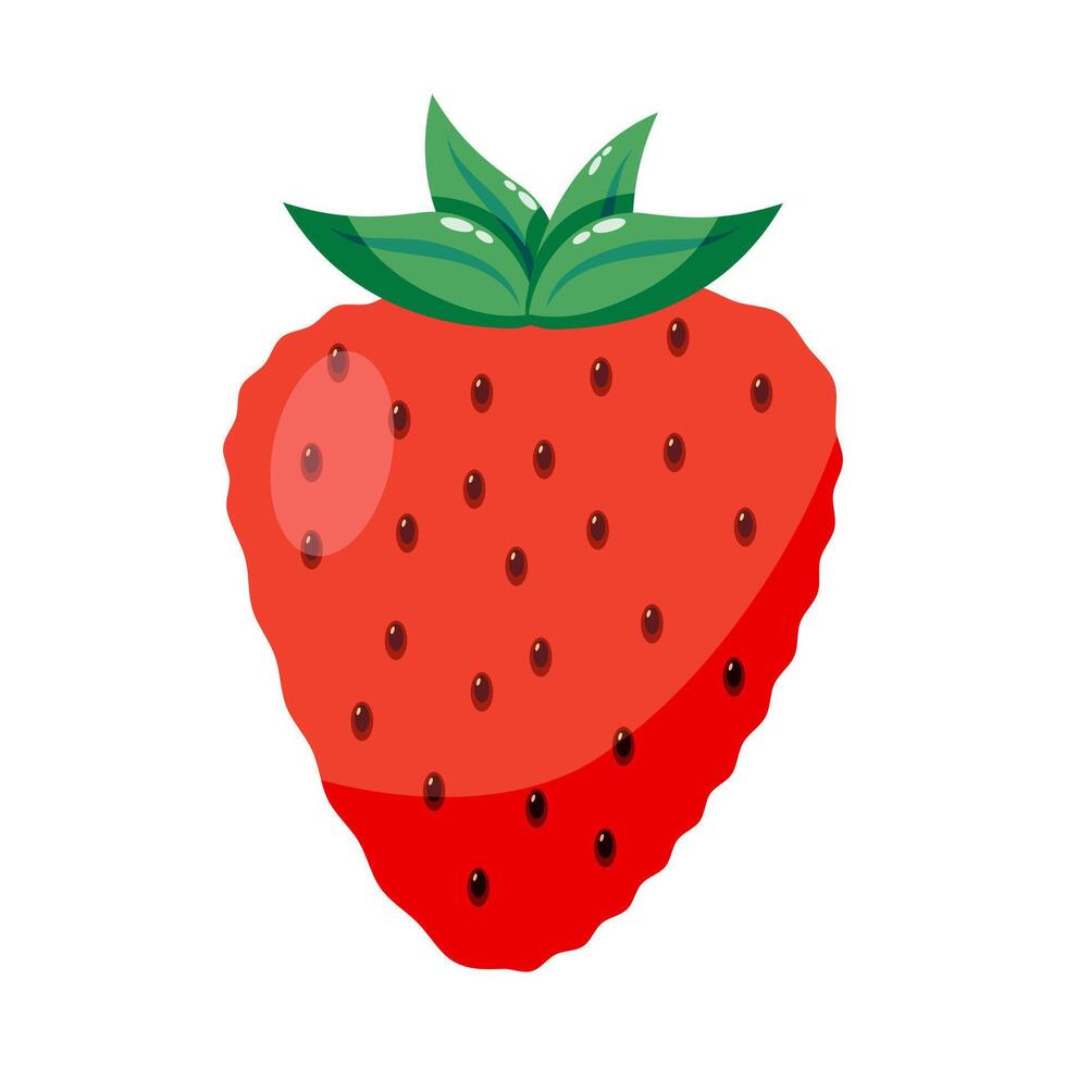 Red strawberry with green leaves and seeds on white background. Fresh fruit and healthy eating concept. Design for poster, card, banner and print. vector