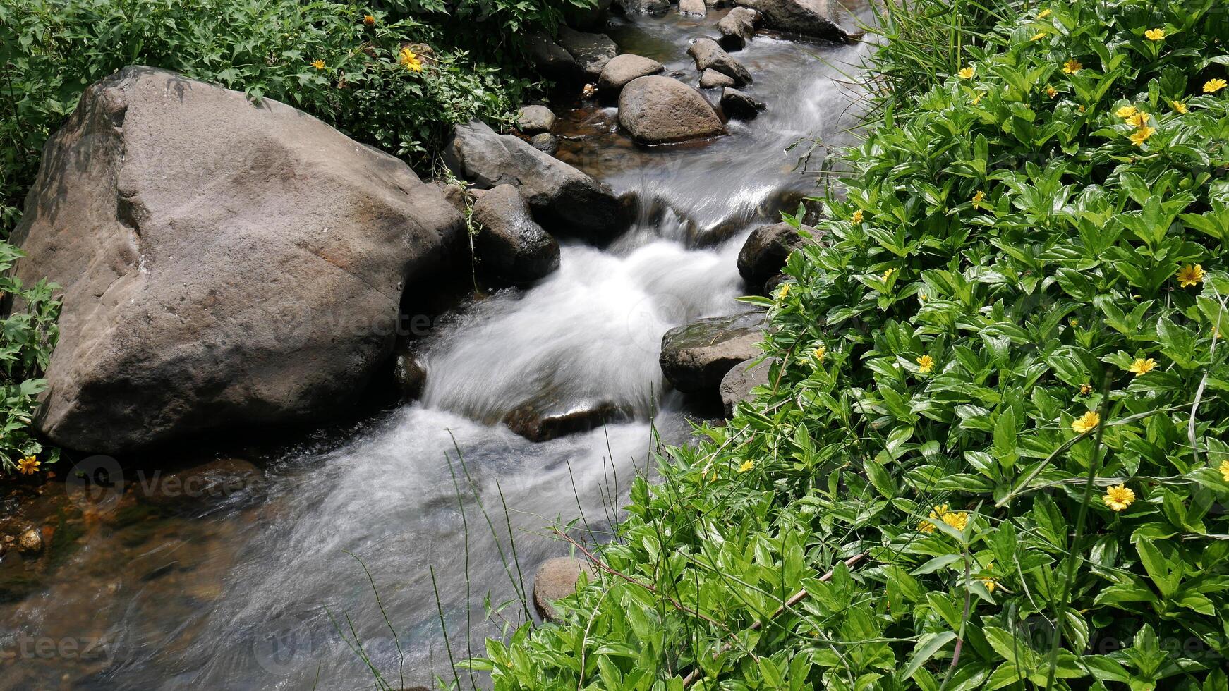 Clear river flows between large and small rocks, adorned with lush greenery and bright yellow flowers, long exposure photo