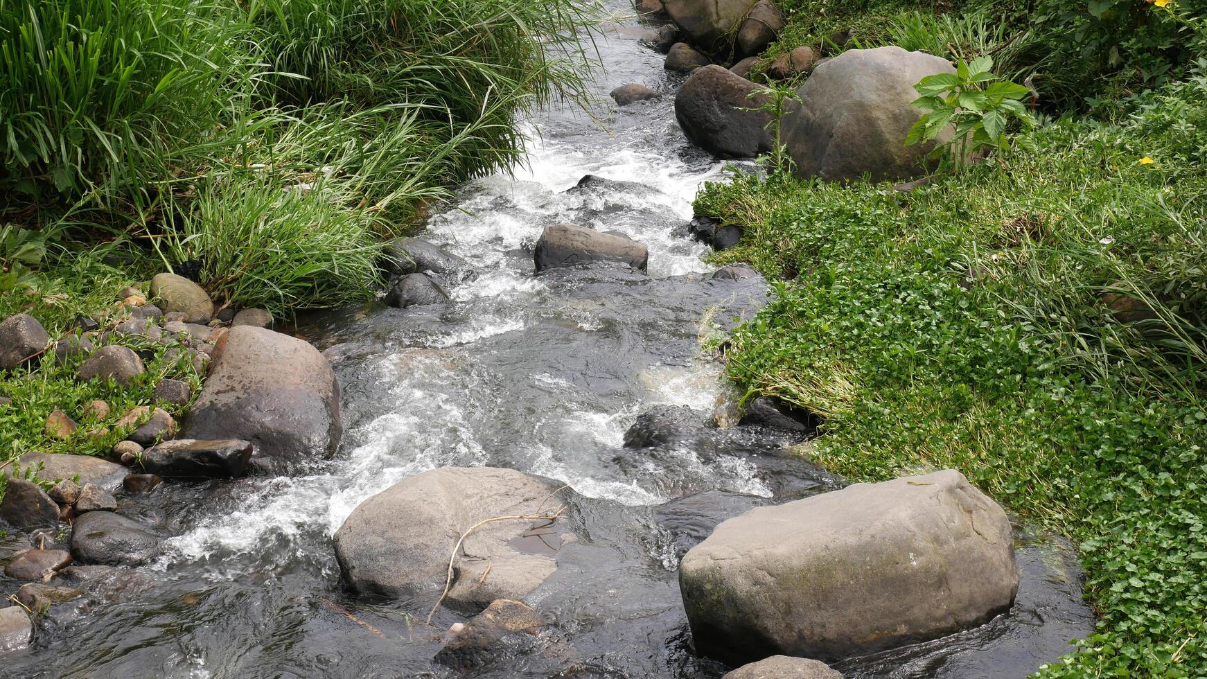 Calm river flows between large and small rocks, adorned with green foliage and bright yellow flowers photo