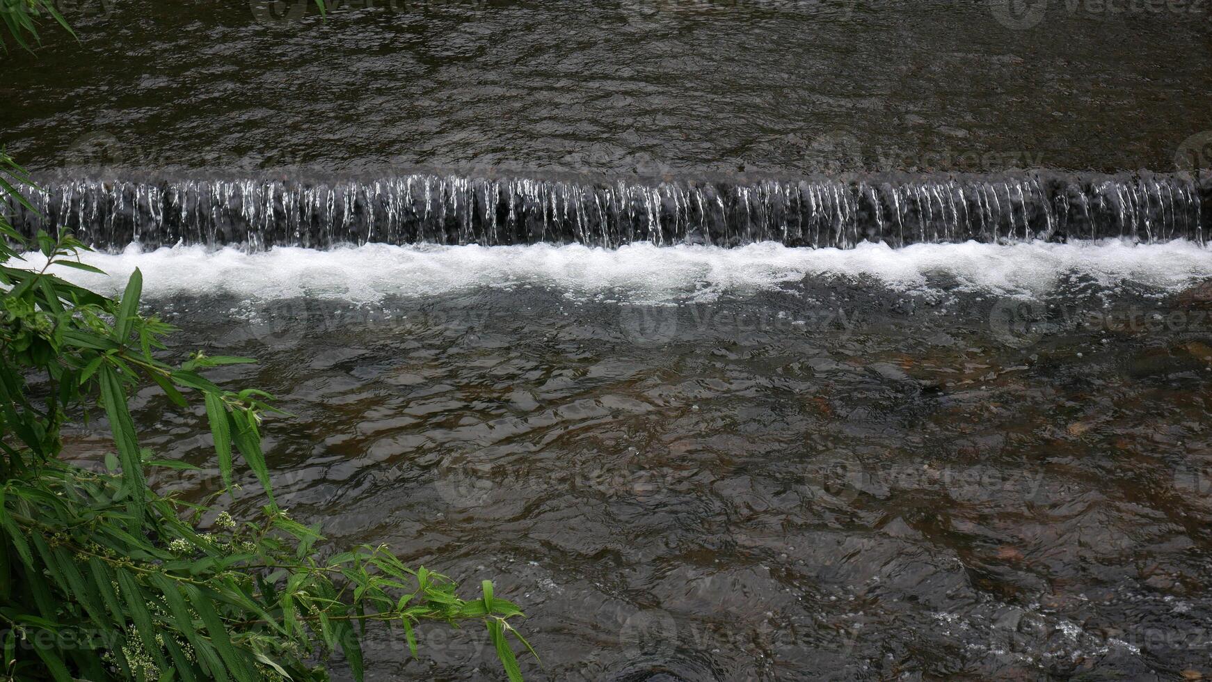 Clear stream of the mini waterfall with white foam at the bottom flows calmly in the river, surrounded by lush green foliage at its edges. photo