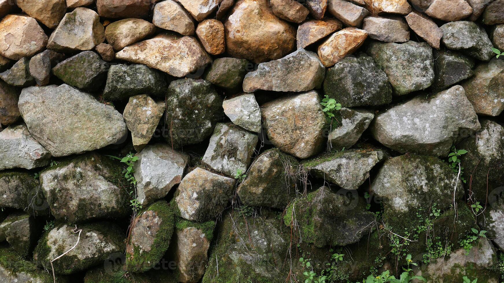 A simple stone wall structure decorated with green moss and wild plants, used to hold agricultural land from sliding. photo