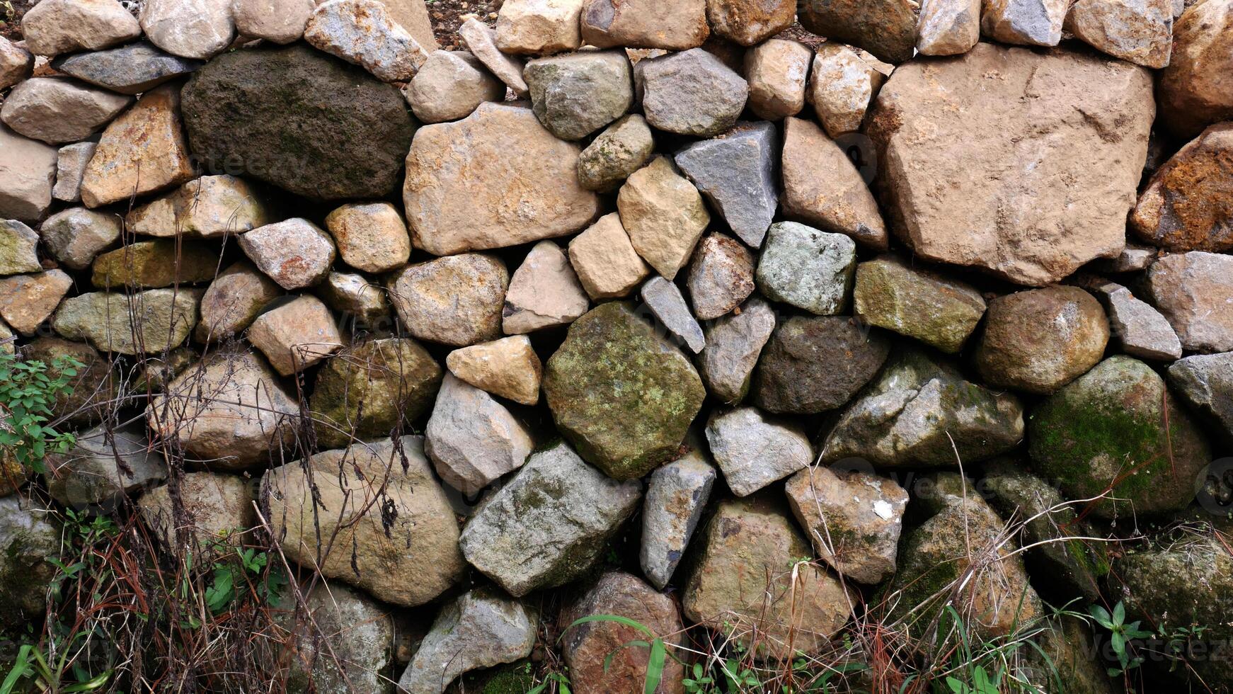 A simple stone wall structure decorated with green moss and wild plants, used to hold agricultural land from sliding. photo