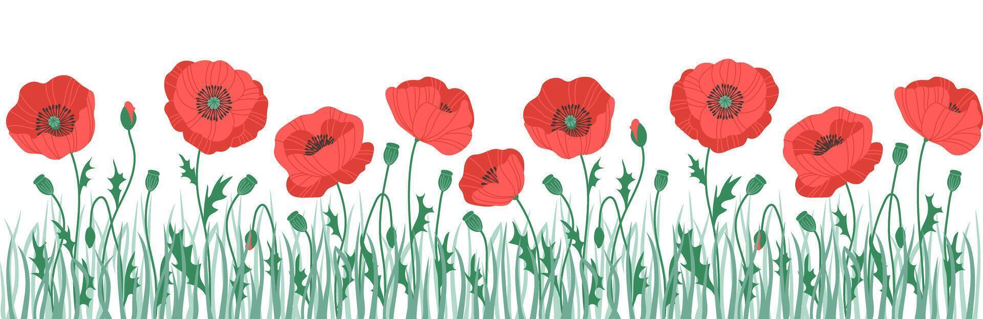 Horizontal continuous banner with red blooming flowers, poppies, plants, leaves. Floral frame. Spring or summer botanical illustration vector
