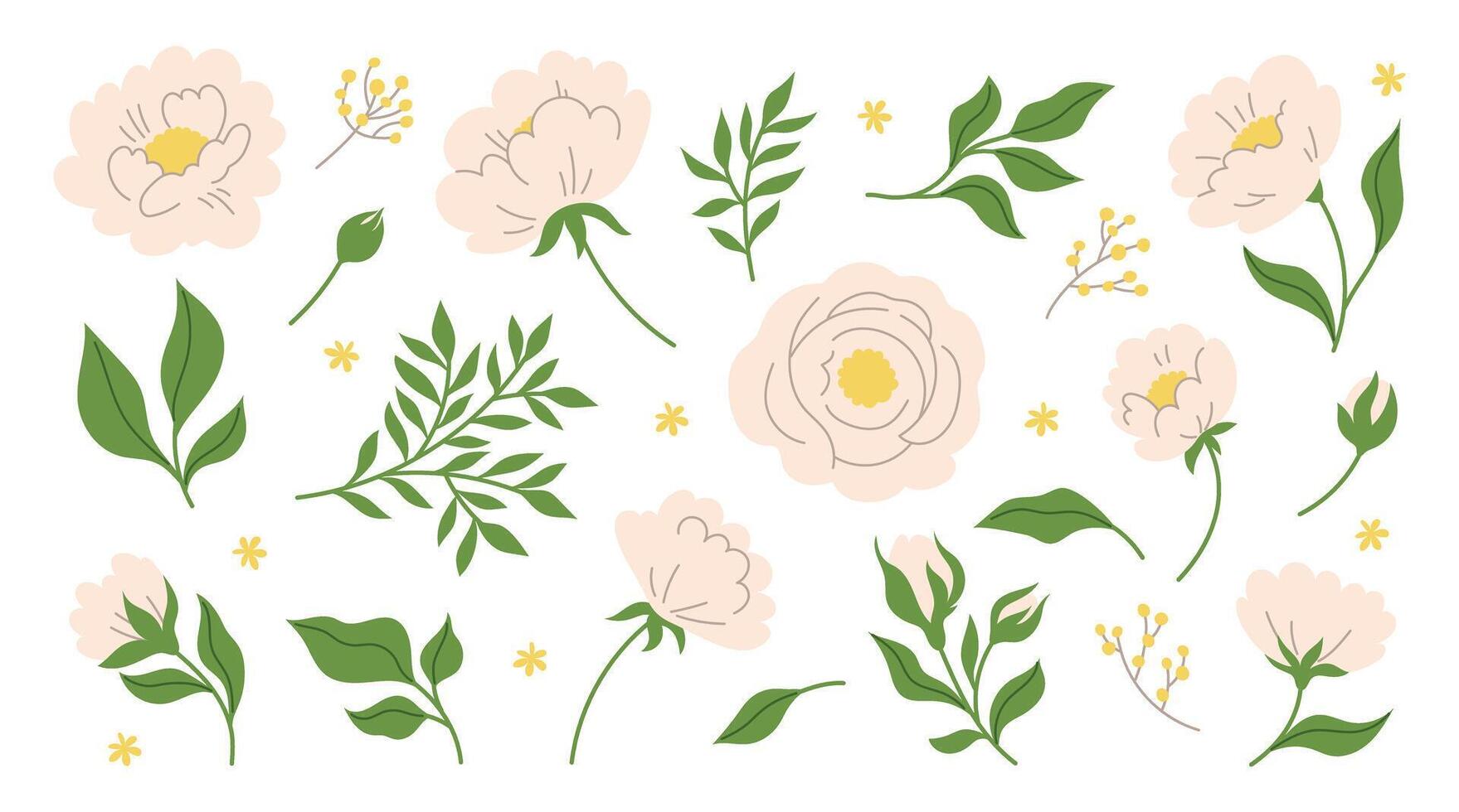 Collection of simple delicate hand drawn flowers, leaves and branches in flat line, doodle style. Trendy botanical illustration on white background vector