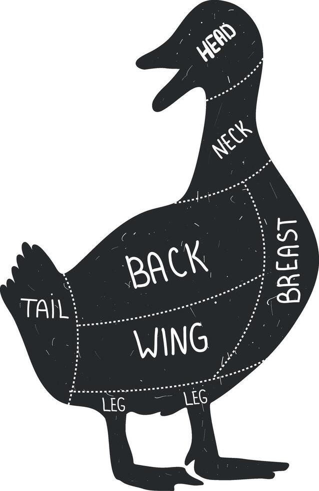 Duck silhouette. Duck cut. Retro animal farm poster for a butchery meat shop vector
