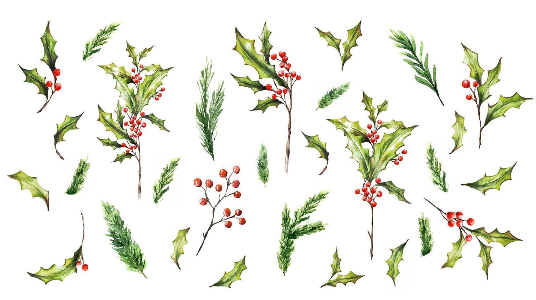 Watercolor Christmas set of bouquets, branches, leaves, red berries. Hand painted holiday composition of plants isolated on white background. Illustration for design, print, background. vector