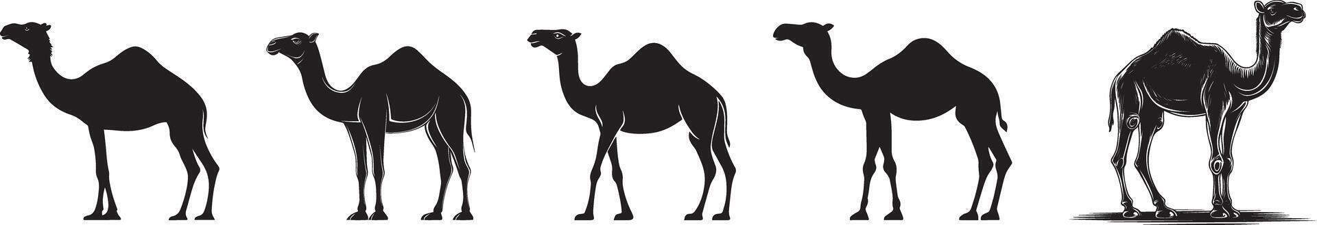 Collection of Camel clean simple silhouette black vector