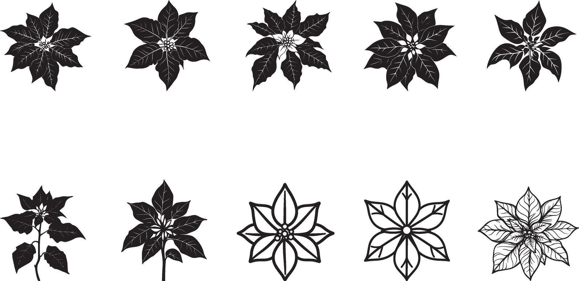 Collection of Poinsettia clean simple silhouette black vector