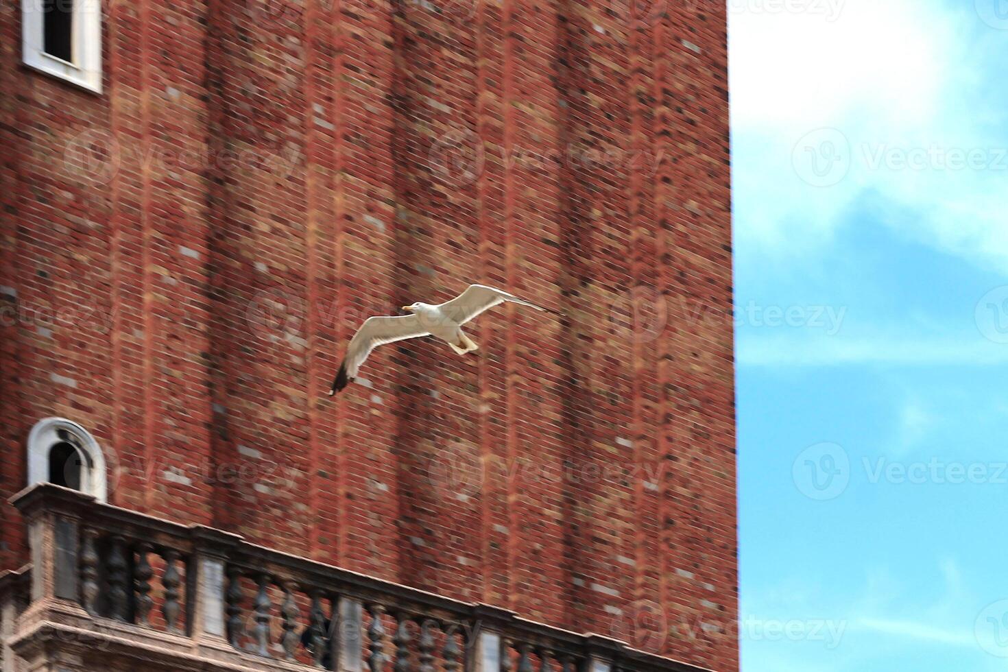 A seagull soars in the air, set against a vibrant red brick building photo