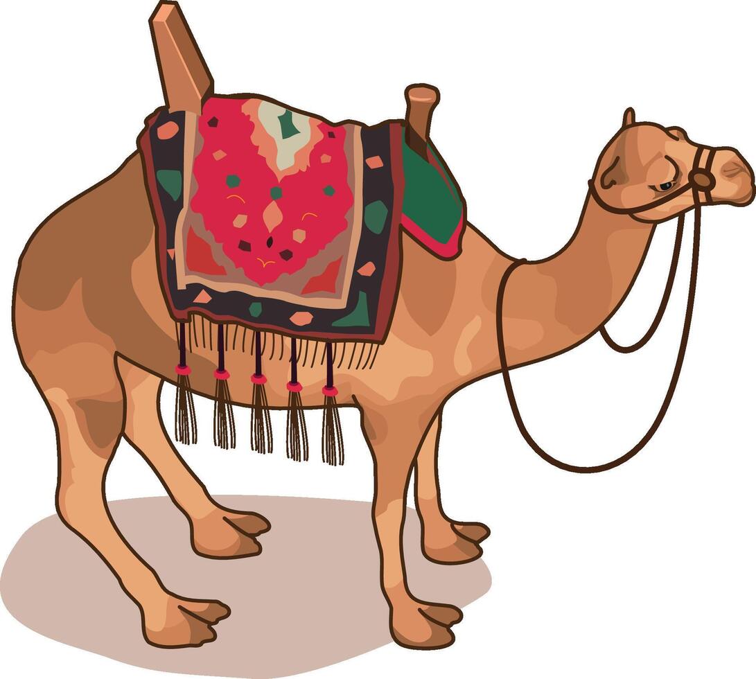 Camel with Saddle vector