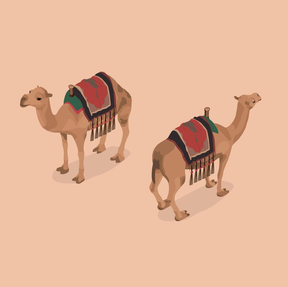 Isometric Camels with Saddle vector