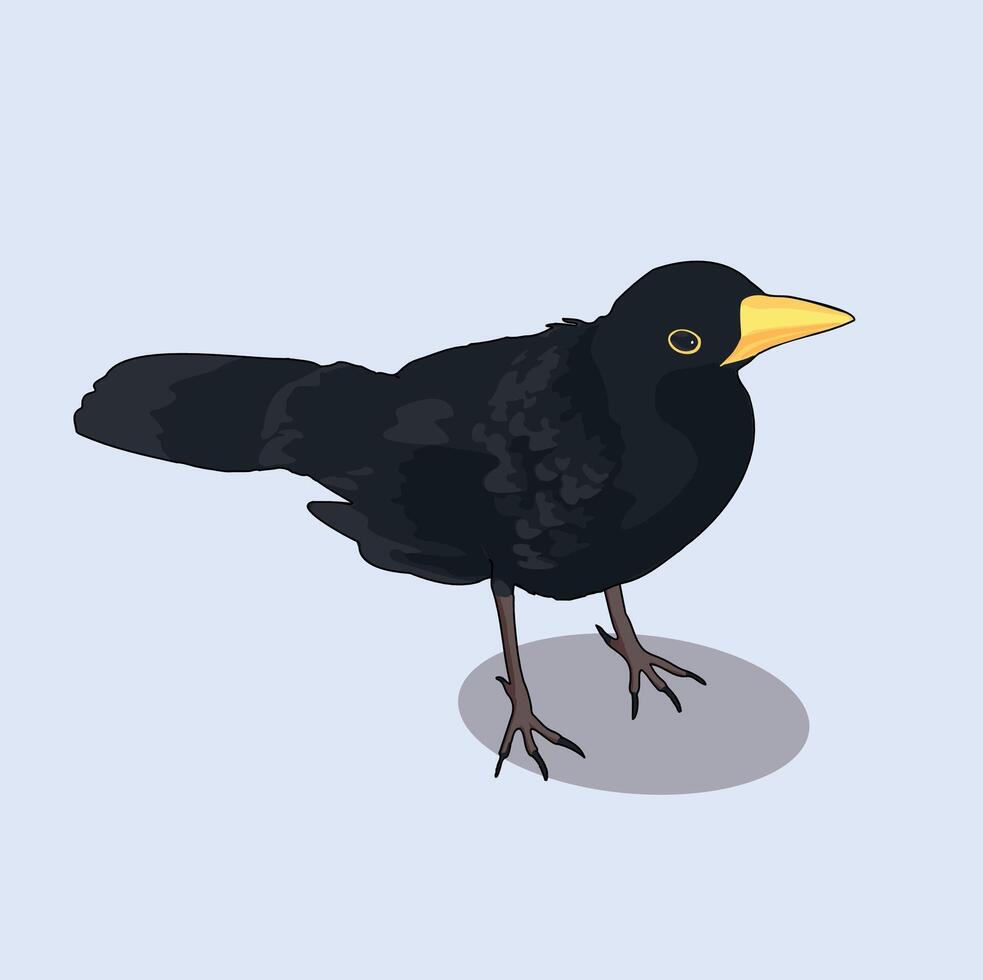 Isometric black crow bird vector
