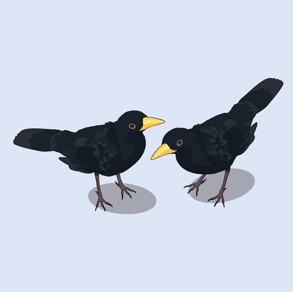 Couple of black crow birds meeting vector