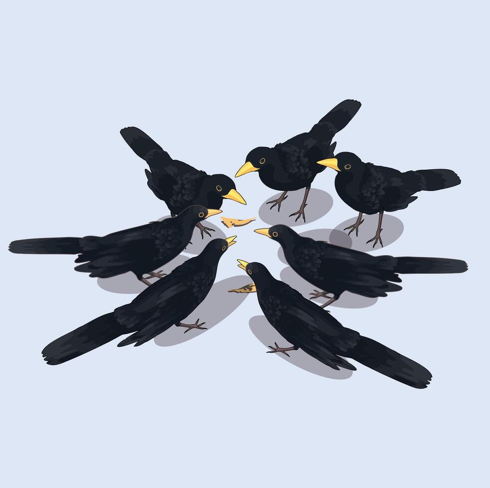 Group of Crow birds meeting vector