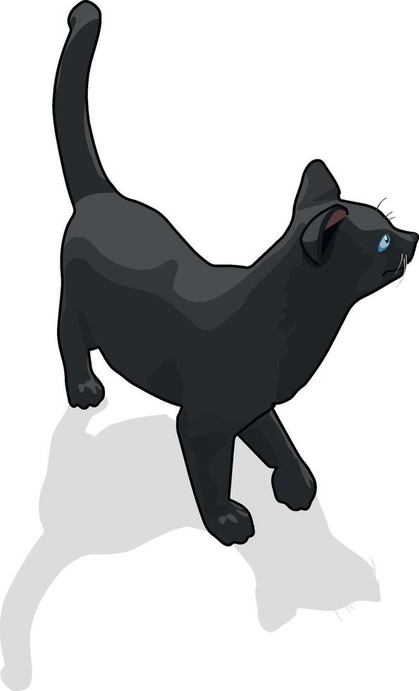 Isometric Black Cat vector