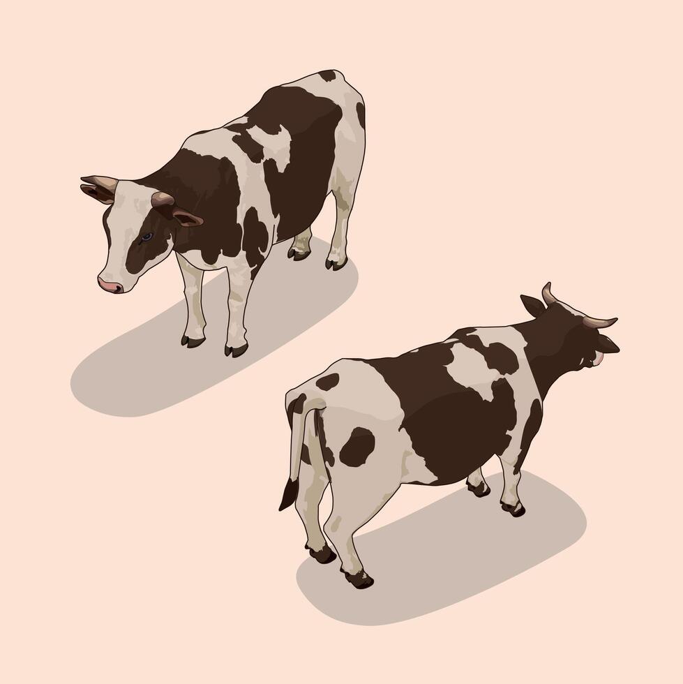 Two Isometric pattern cows two angles vector