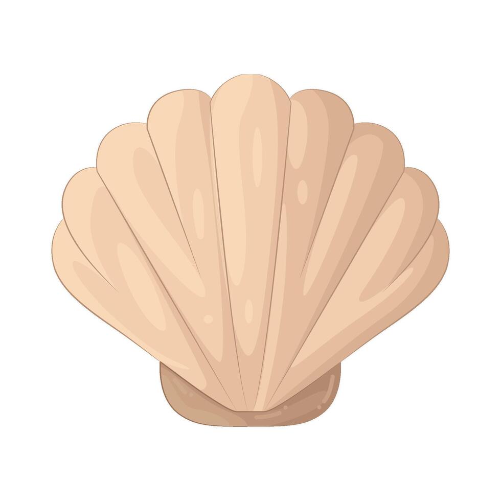 Illustration of seashell vector