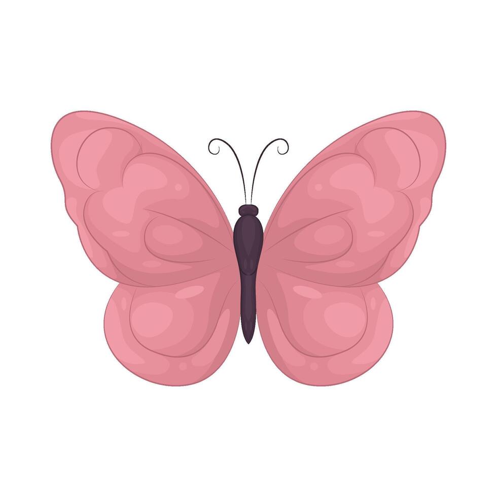 Illustration of butterfly vector